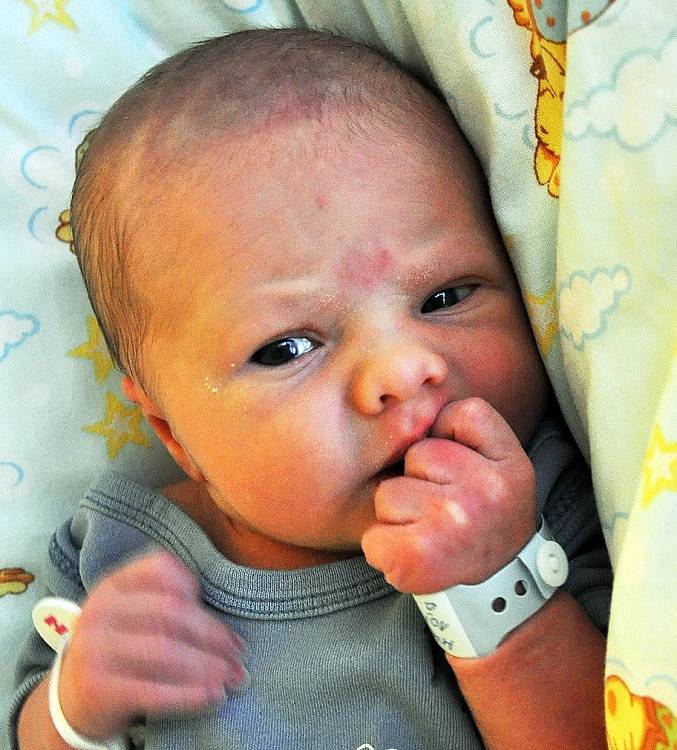 Mamince Ivetě Číhové ze Zabrušan se 10. ledna ve 14.08 hod. v teplické porodnici narodil syn Radek Mical. Měřil 51 cm a vážil 3,05 kg.