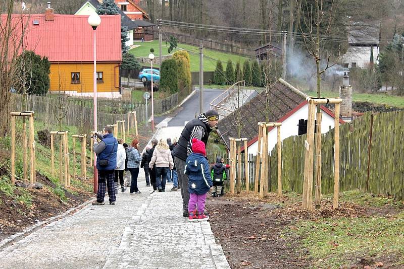 V  severních Čechách se bude na podzim sázet ve velkém.