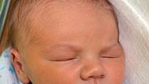 Mamince Michaele Svatoňové z Teplic se 19. června v 11.47 hod. v teplické porodnici narodil syn Teodor Svatoň. Měřil 51 cm a vážil 4,00 kg.