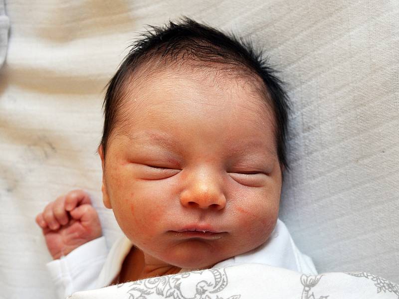 Marek Fiala se narodil Nikole Fialové z Teplic 30. dubna v 17,45 hodin v teplické porodnici. Měřil 51 cm, vážil 3,35 kg.
