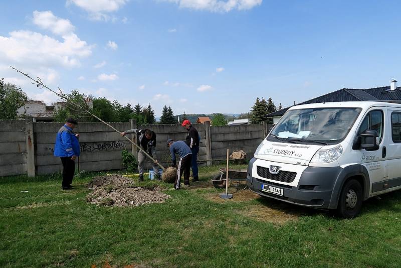 V  severních Čechách se bude na podzim sázet ve velkém.