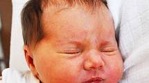 SOFIE HASPROVÁ se narodila Denise Hasprové z Ledvic 5. listopadu v 6.25 hod. v teplické porodnici. Měřila 48 cm a vážila 3,35 kg.