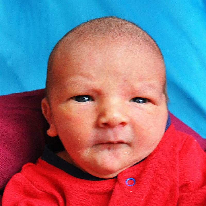 Dominik Straka se narodil Petře Strakové z Kostomlat pod Milešovkou 6. ledna v teplické porodnici v 6.06 hodin. Měřil 53 cm, vážil 3,85 kg.
