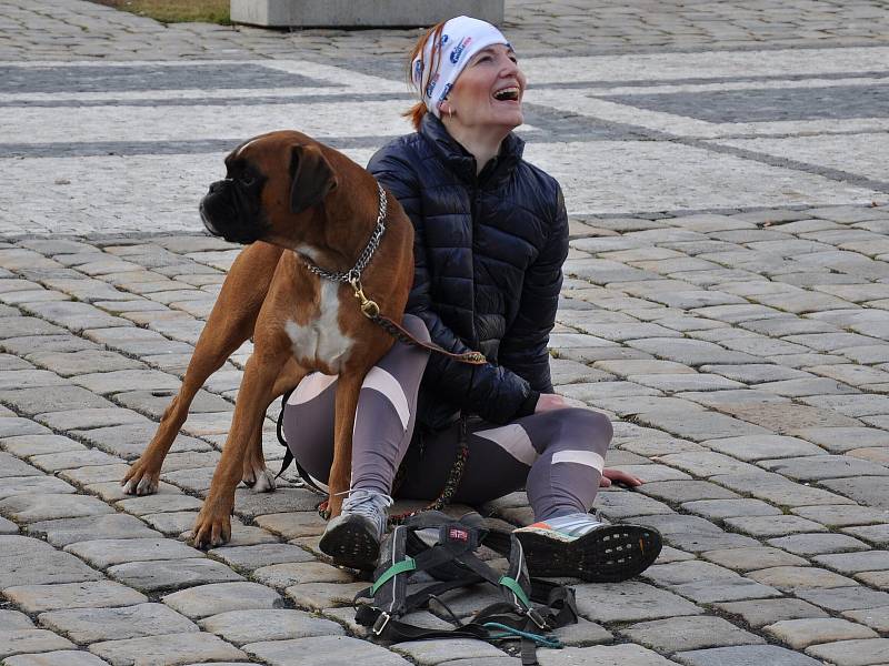 Z Teplického zimního půlmaratonu...