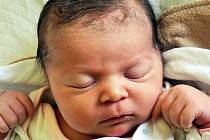 Leontýna Zemanová se narodila Petře Meszárošové  z Teplic 19. června v 5.13 hod. v teplické porodnici. Měřila 52 cm a vážila 4,0 kg.