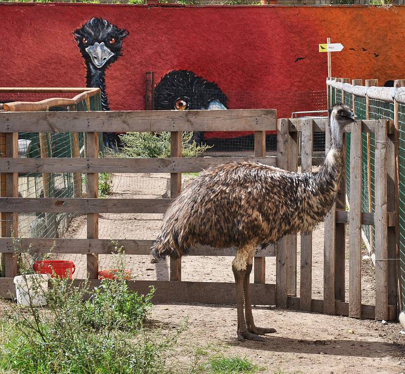 biopark gymnázium Teplice