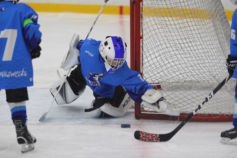 Huskies Cup v Teplicích