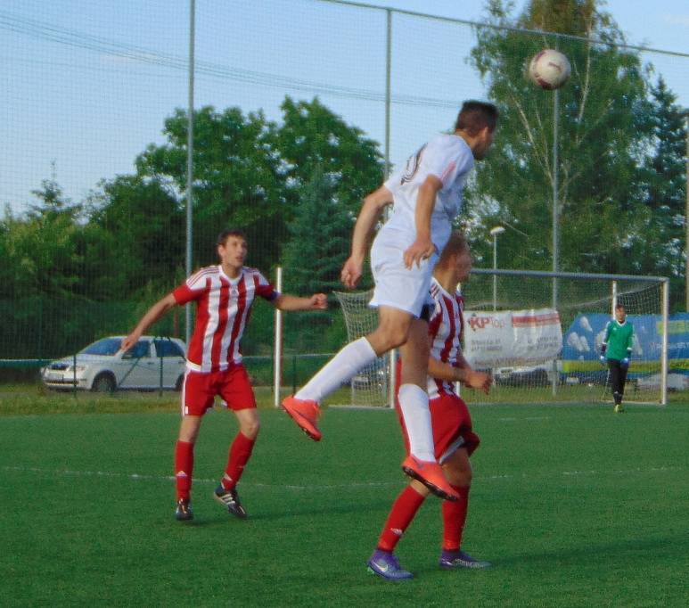 Sokol Srbice - TJ Proboštov 2:1.