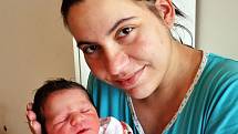 Pavlína Nováková se narodila Petře Novákové z Teplic 1. ledna 2018 v 1.08 hod, v teplické porodnici a byla prvním miminkem roku 2018 narozeným v zařízeních Krajské zdravotní, a. s.