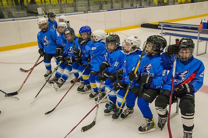 Huskies Cup v Teplicích