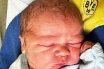 MATTEO GUBČO se narodil Šárce Vaňkové z Teplic 24. listopadu v 1.24 hod. v teplické porodnici. Měřil 51 cm a vážil 3,80 kg.