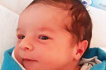 Dominik Kraus se narodil Petře Dbalé 12. února v teplické porodnici. Měřil 50 cm, vážil 3,75 kg.