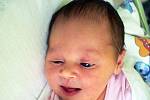 Nikol Petrtillová se narodila Natálii Šťastné z Teplic  17. srpna v 11,19 hodin v teplické porodnici. Měřila 50 cm, vážilla 3,20 kg.