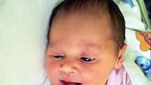 Nikol Petrtillová se narodila Natálii Šťastné z Teplic  17. srpna v 11,19 hodin v teplické porodnici. Měřila 50 cm, vážilla 3,20 kg.