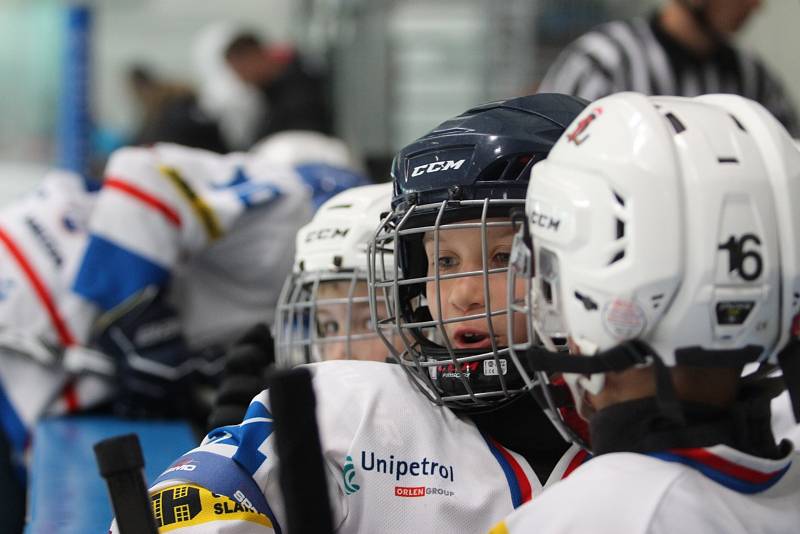 V Plzni se hrál hokejový turnaj Wolves Cup pro ročníky 2013