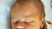 Rozárka Mattová se narodila Michaele Vojířové  z Teplic 11. července  v 10.11 hod. v teplické porodnici. Měřila 47 cm a vážila 3,20 kg.