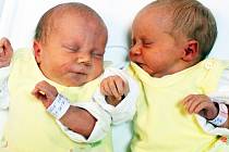 Victorie a Valerie Veselé se narodily Adéle Bailové a Petru Veselému z Krupky 13. listopadu v  8.27 / 8.29 hod. v ústecké porodnici. Měřily 45 / 43 cm a vážily 2,57 / 2,13 kg