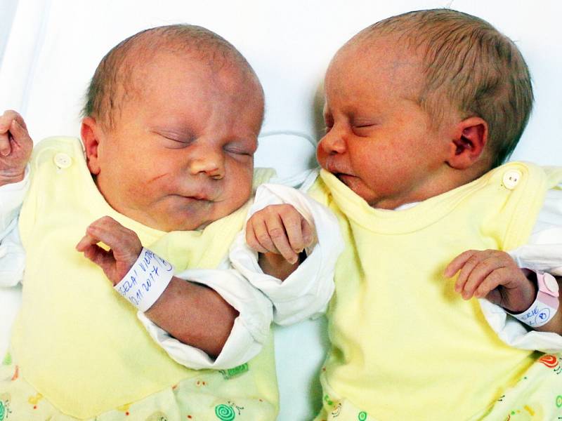 Victorie a Valerie Veselé se narodily Adéle Bailové a Petru Veselému z Krupky 13. listopadu v  8.27 / 8.29 hod. v ústecké porodnici. Měřily 45 / 43 cm a vážily 2,57 / 2,13 kg