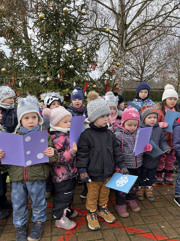 Děti v MŠ Pastelka zpívají koledy.