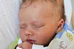 Mamince Marcele Kamenské z Teplic se 5. července v 10.36 hod. v teplické porodnici narodila dcera Nela Brožová. Měřila 47 cm a vážila 2,90 kg.