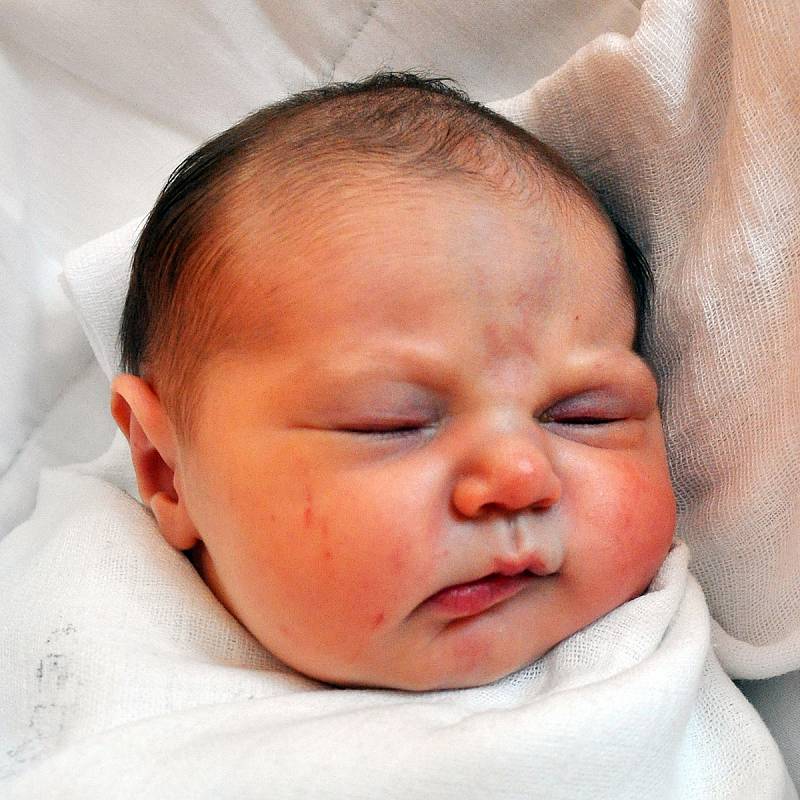 Veronika Malá se narodila Pavlíně Malé z Duchcova 28. ledna v teplické porodnici 9,16 hodin. Měřila 46 cm, vážila 3,85 kg.
