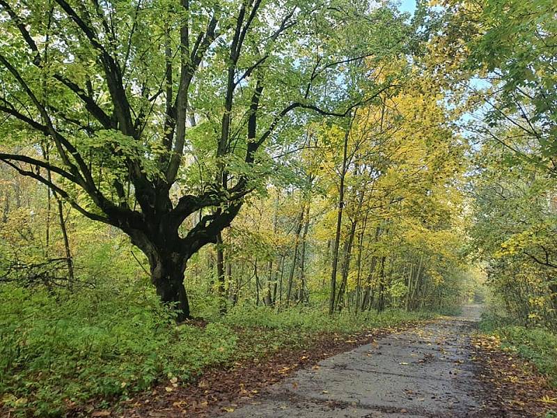 Podzimní procházka přírodou v okolí Hrobu.