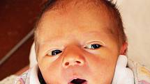 DAVID PIKES se narodil Pavlíně Šittové  z Teplic  7. února v 10.18  hod. v teplické porodnici. Měřil 48 cm a vážil 3,10 kg.