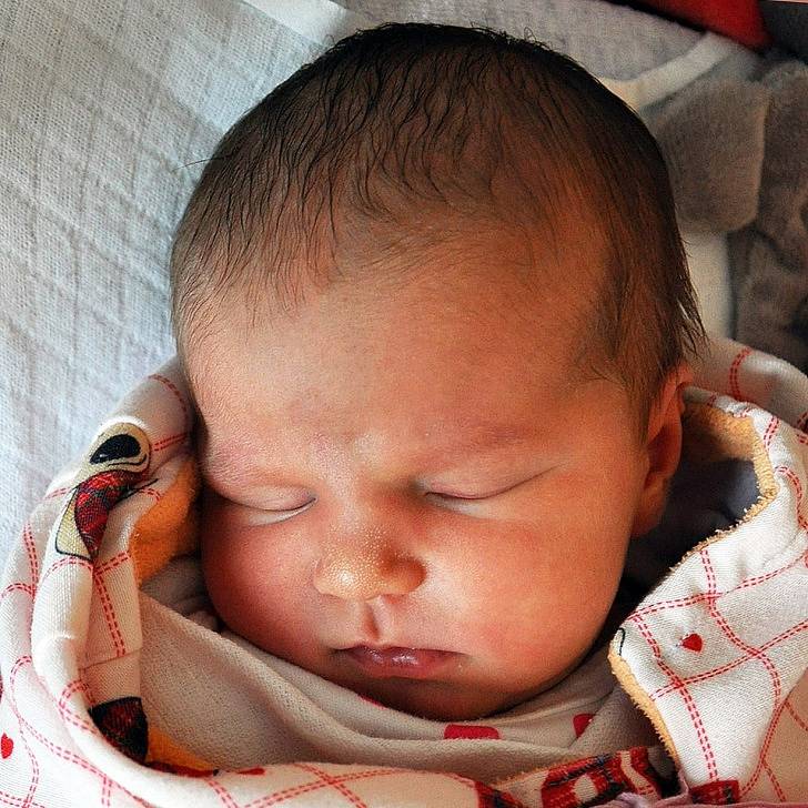 Nathalie Radičová se narodila Nikole Friedové  z Teplic 15. července  v 0.26 hod. v teplické porodnici. Měřila 51 cm a vážila 3,85 kg.