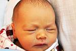 Vítek Dlouhý se narodil Lucii Dlouhé z Dubí 16. srpna v 10.06 hod. v teplické porodnici. Měřil 47 cm a vážil 2,85 kg.