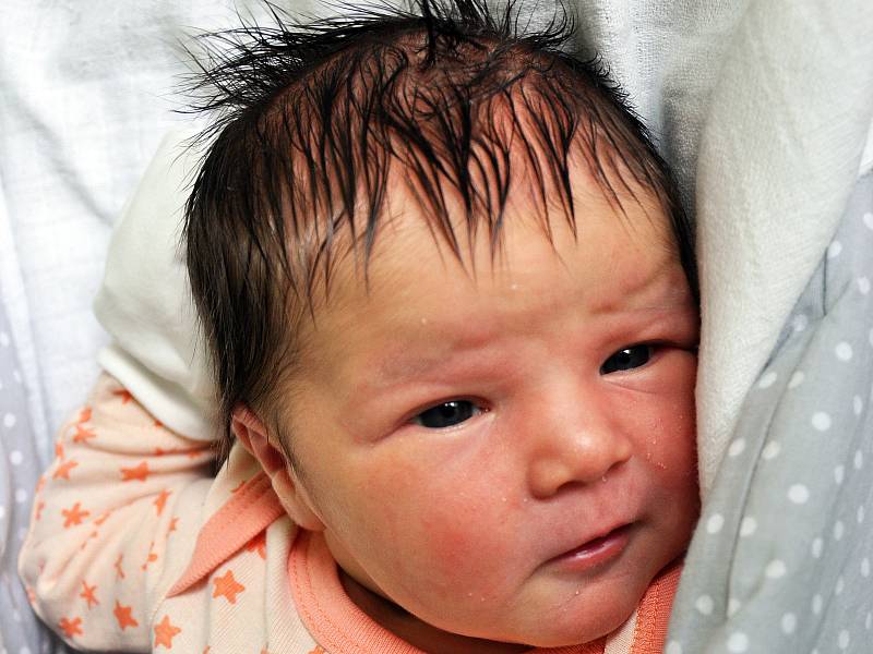 Lišková Alžběta se narodila Ivaně Liškové ze Rtyně nad Bílinou 29. dubna v 14,59 hodin v teplické porodnici. Měřila 52 cm, vážila 3,80 kg.