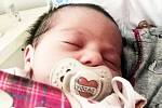 Tereza Černá se narodila Lence Černé z Bíliny  25. května v 9,20 hodin v teplické porodnici. Měřila 47 cm, vážila 2,90 kg.
