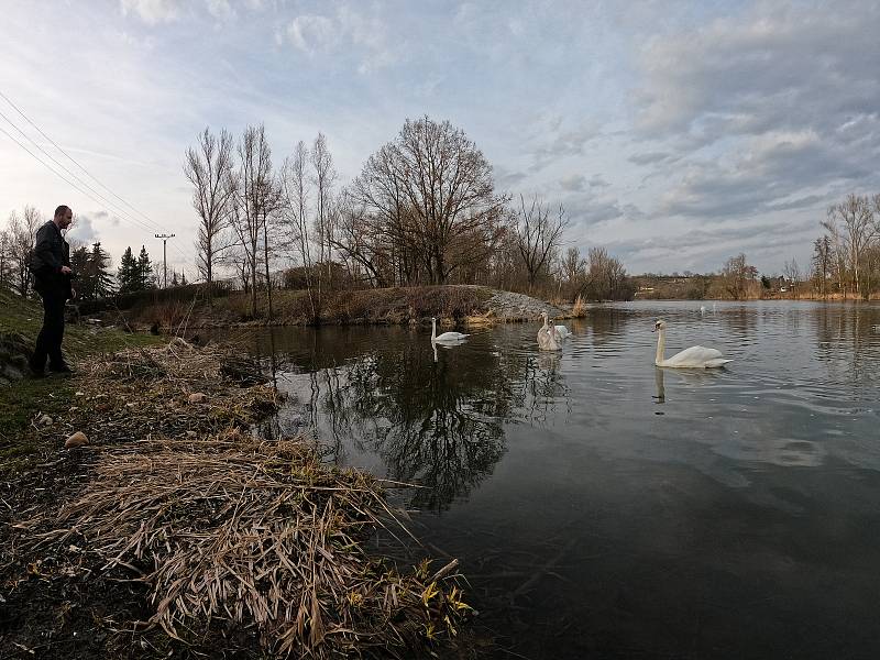 Soutok Liboce a řeky Ohře v Žatci.