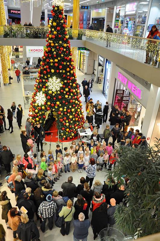 Česko zpívá koledy v obchodním centru Galerie v Teplicích.