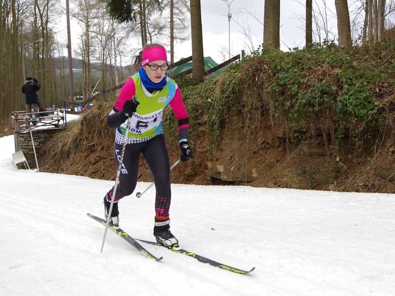 Zimní olympiáda dětí a mládeže