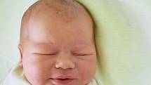 Adéla Lacková  se narodila Ludmile Lackové z Teplic 16. červnav 10,49 hodin v teplické porodnici. Měřila 51 cm, vážila 4,20 kg.