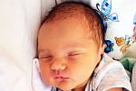 David Aleksandrenko se narodil Ině Aleksandrenko z Krupky  17. srpna v 14,19 hodin v teplické porodnici. Měřil 51, vážil 3,45 kg.