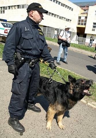 Dělnická strana měla mítink v Krupce, policejní manévry, střety s Antifou a další.