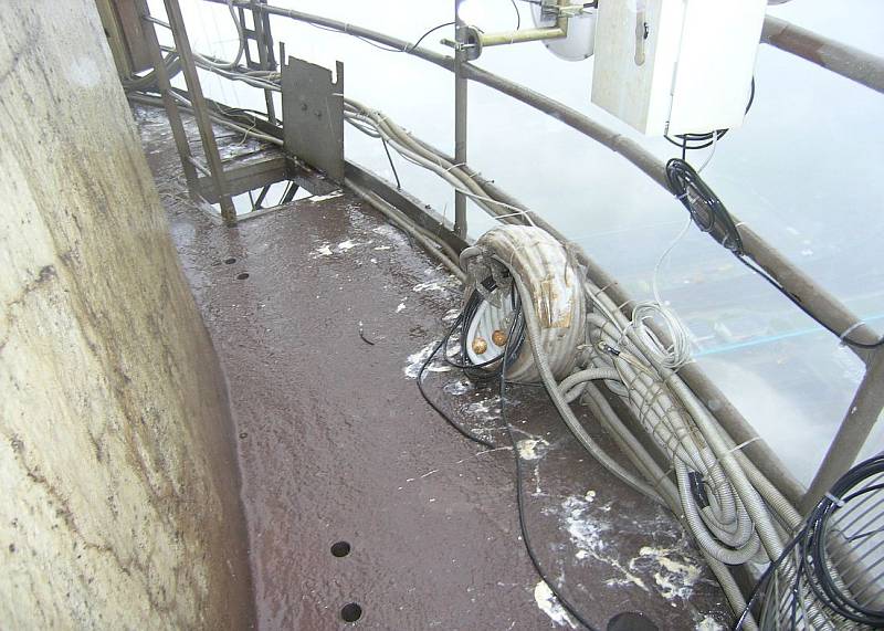 První pokus o zahnízdění v kabeláži se odehrál v roce 2010 v Elektrárně Tušimice ve výšce 280 metrů. Bohužel byl neúspěšný, vejce byla dlouho opuštěna a hlavně neoplozena.