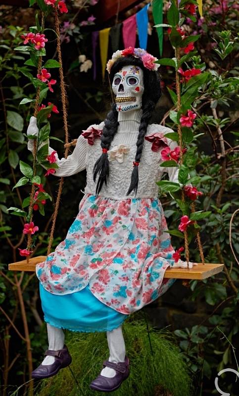 Botanka láká na výstavu Día de los Muertos.