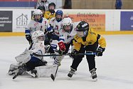 Šurda Cup, hokejový turnaj pro 4. třídy ve Slaném