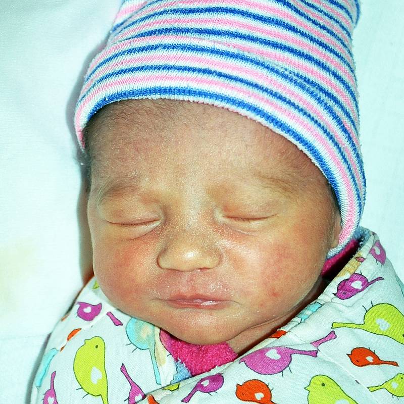 Nela Semerádová se narodila Aleně Strapkové z Drahkova 6. listopadu v teplické porodnici v 17,49 hod. Měřila 45 cm, vážila 2,30 kg