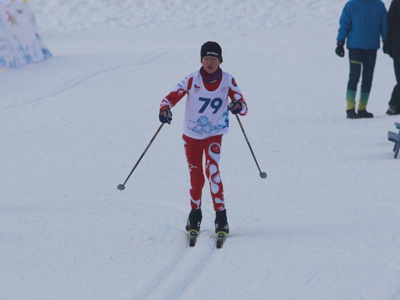 Zimní olympiáda dětí a mládeže na Cínovci