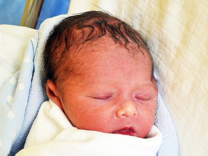 Samuel Ádi se narodil Marcele Ádiové z Teplic 18. června v 19,54 hodin v teplické porodnici. Měřil 45 cm, vážil 2,35 kg