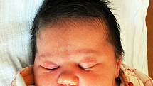 NELLY PROCHÁZKOVÁ se narodila Dominice Procházkové  z Teplic 30. ledna v 16,40  hod. v teplické porodnici. Měřila 52 cm a vážila 3,90 kg.