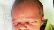 Tomáš Adler se narodil Pavle Adlerové z Teplic  12. července  v 10.08 hod. v teplické porodnici. Měřil 48 cm a vážil 3,05 kg.