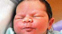 Lukáš Kredba se narodil Janě Kredbové z Dubí 7.  listopadu  v 11.54 hod. v teplické porodnici. Měřil 51 cm a vážil 3,95 kg.