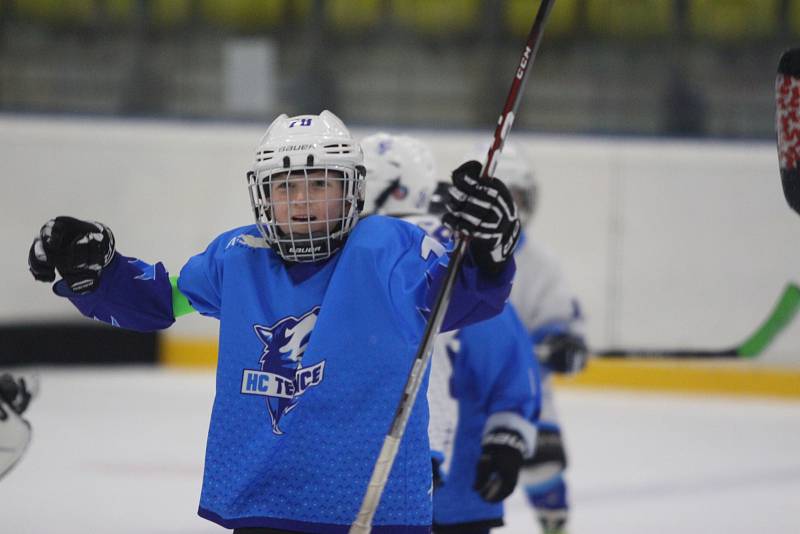 Huskies Cup v Teplicích