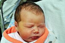 Amálie Kocourková se narodila Anně Kocourkové  z Krupky 19. listopadu v 1,23 hodin v teplické porodnici. Měřila 46 cm, vážila 3,45 kg.