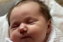 Adéla Pilná se narodila mamince Žanetě Pilné a otci Jaroslavu Pilnému 12. března ve 14:53 hodin. Vážila 3300 gramů a měřila 48 cm.