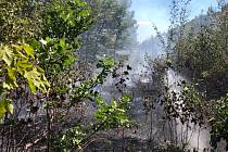 Požár u lesa u Pily Vrchoslav.